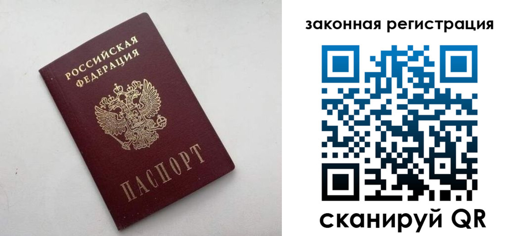 прописка гарантия в Московской области